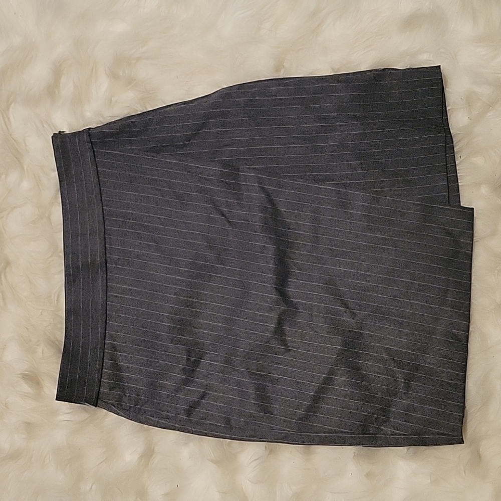 Professional Skirt